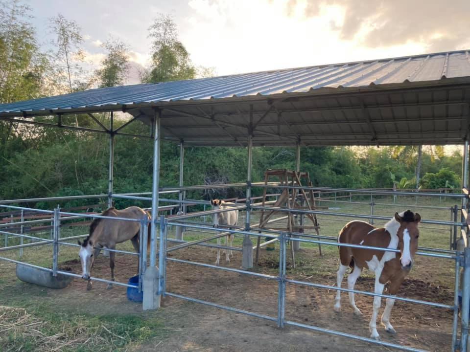 Ataalaya Farmhouse Batangas Dış mekan fotoğraf