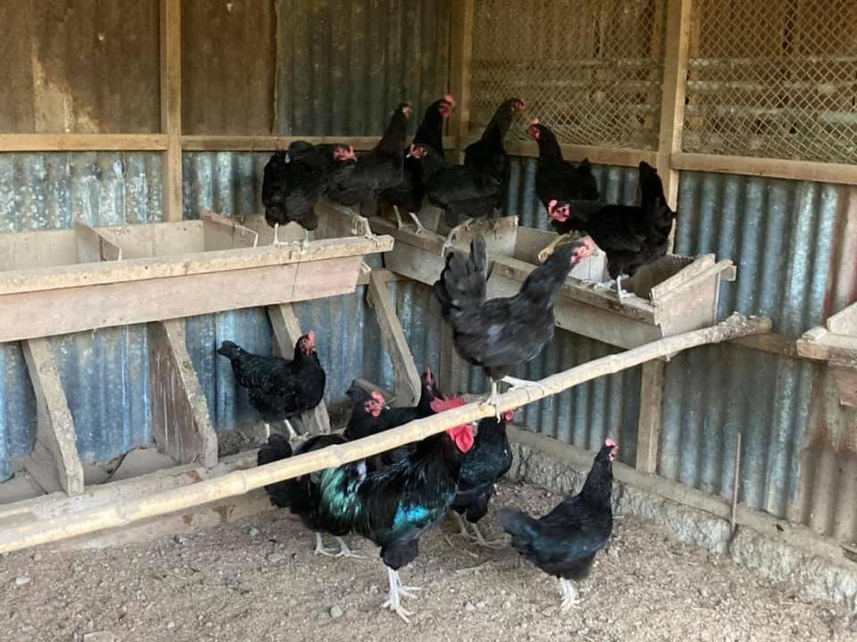 Ataalaya Farmhouse Batangas Dış mekan fotoğraf