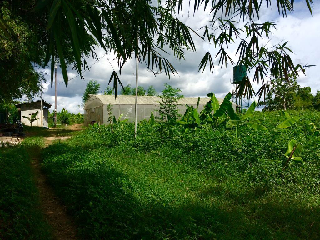 Ataalaya Farmhouse Batangas Dış mekan fotoğraf