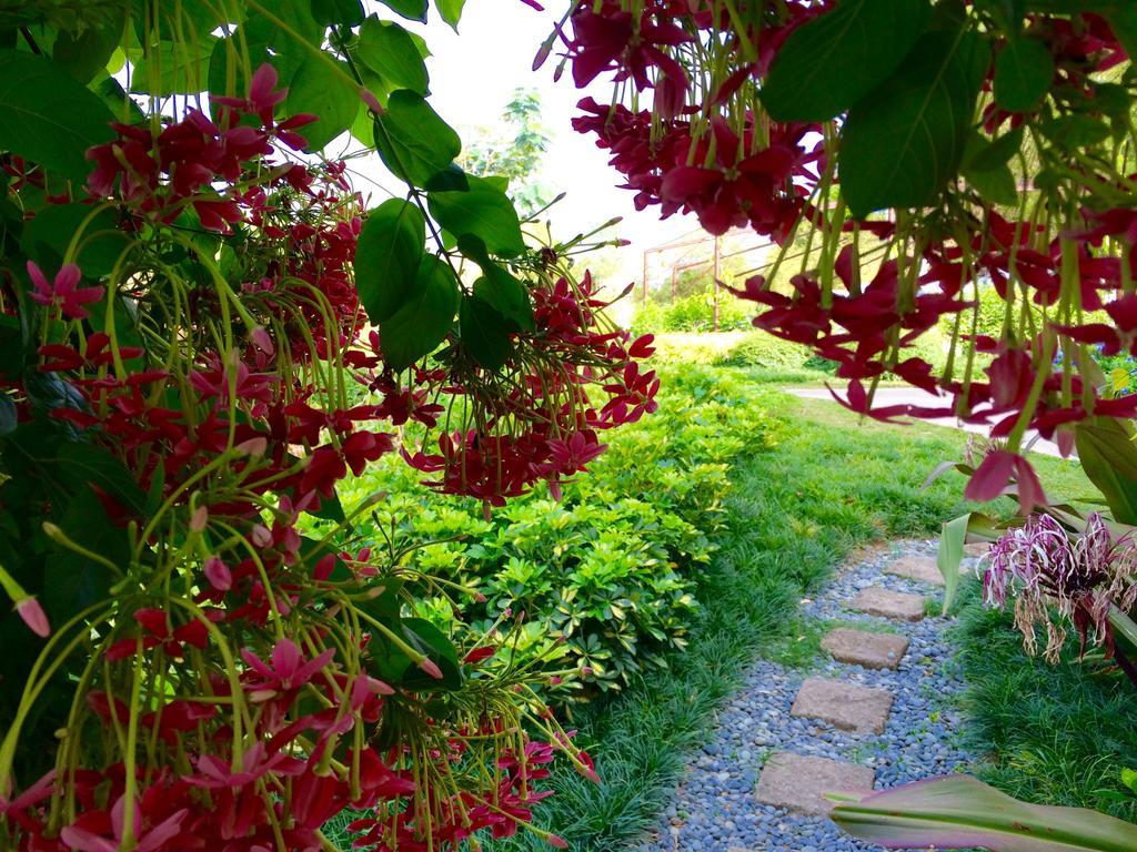 Ataalaya Farmhouse Batangas Dış mekan fotoğraf